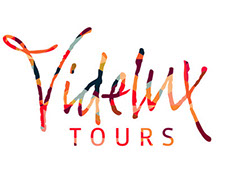 Wiltonfoundry Videlux logo Robbie de Villiers Design