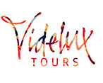 Wiltonfoundry Videlux logo Robbie de Villiers Design